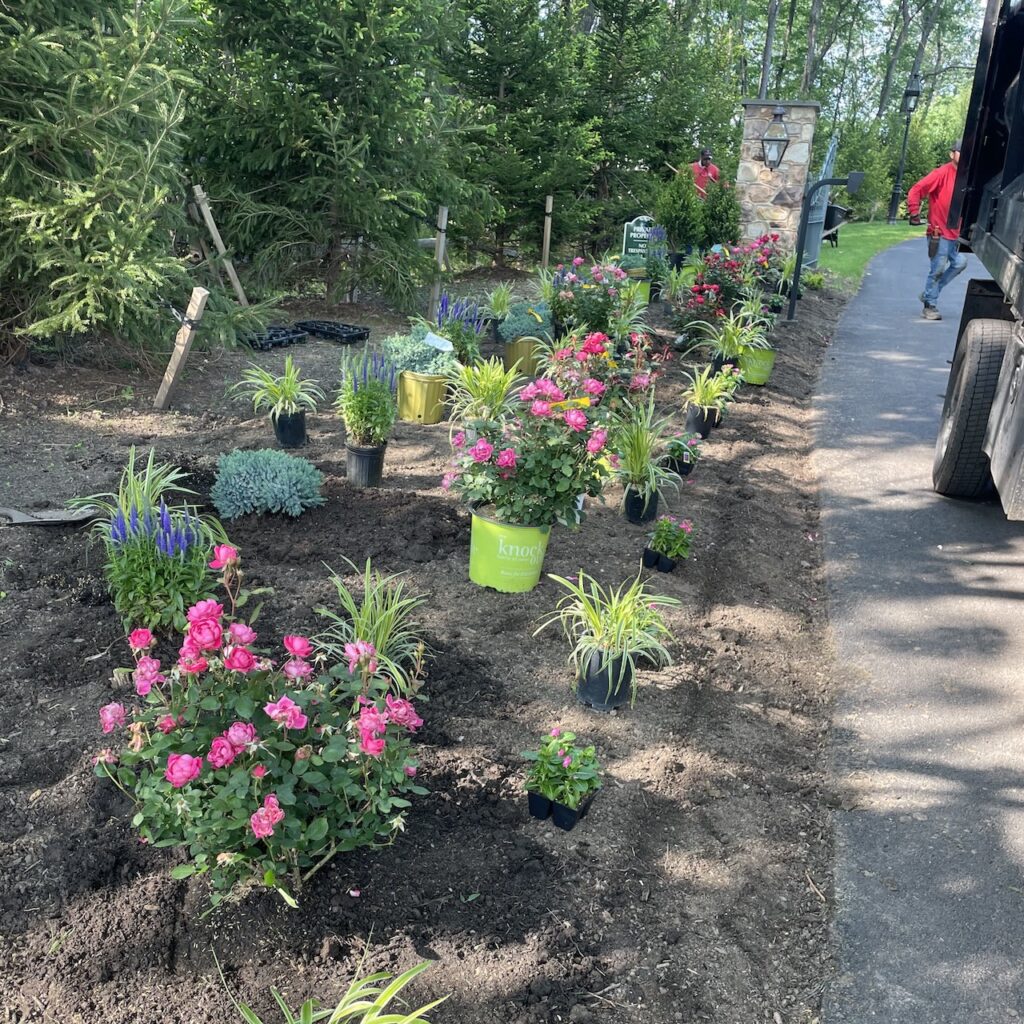 Carlos One Lawn - Seasonal Planting